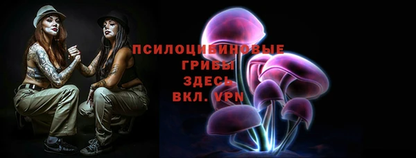 СК Алзамай