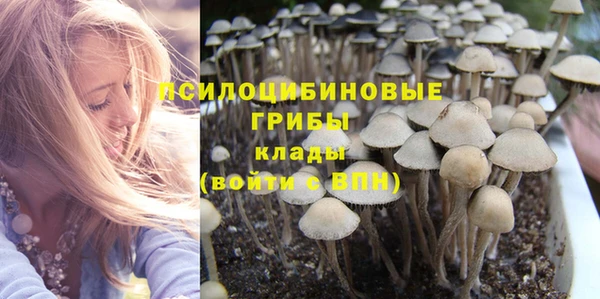 СК Алзамай
