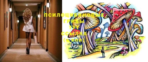 СК Алзамай