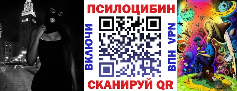 мориарти какой сайт  цены   Жиздра  Галлюциногенные грибы Cubensis 